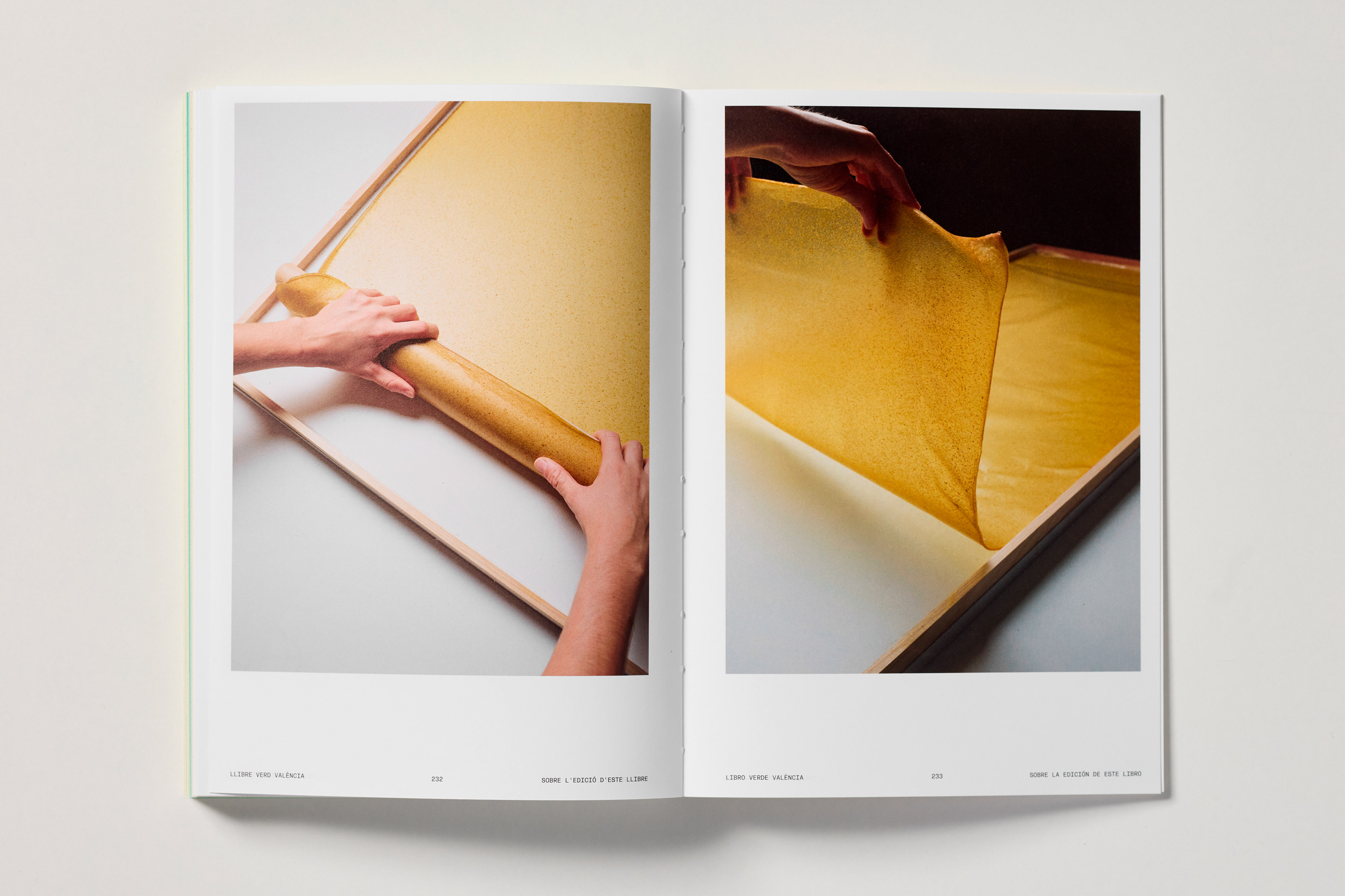 Fase, estudio de diseño gráfico. Libro Verde València, biomaterial Sirope Lab
