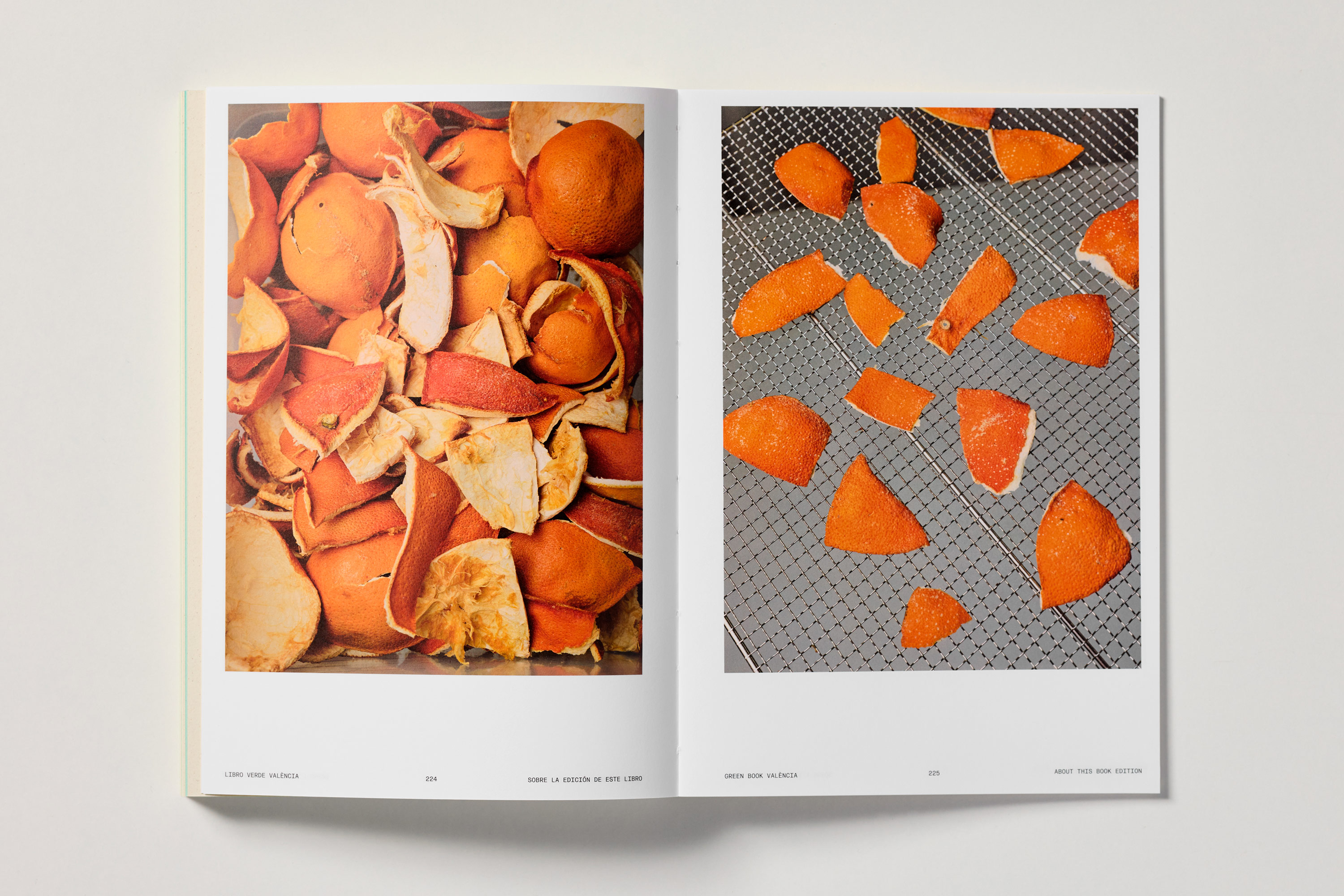 Fase, estudio de diseño gráfico. Libro Verde València, biomaterial Sirope Lab