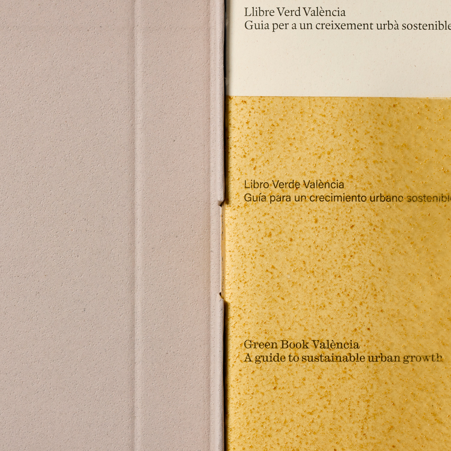 Fase, estudio de diseño gráfico. Libro Verde València, caja